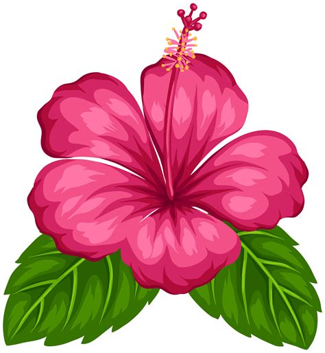flower clip art transparent.